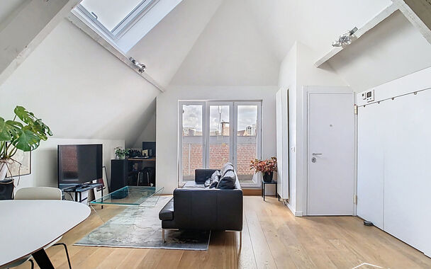 In een voormalige neoclassicistische burgerwoning, volledig gerenoveerd en omgevormd tot een kleinschalig appartementsgebouw met EPC-label B, vind je dit stijlvolle appartement van 57 m². Instapklaar wonen in het hart van Antwerpen!

Het appartement bevi