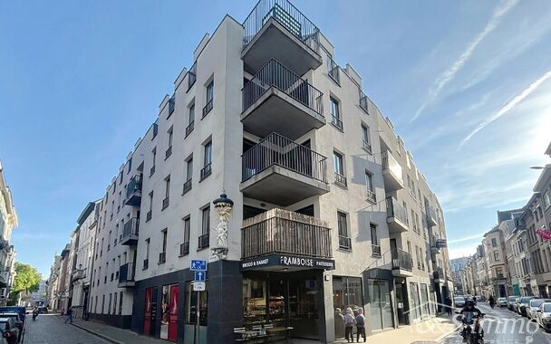 Instapklaar gelijkvloers appartement, gelegen op een toplocatie in het hart van Antwerpen – op wandelafstand van de Meir én het bruisende Eilandje.
Inkomhal met vestiaire en apart gastentoilet, gezellige woonkamer (ca. 33m²), afgewerkt met warme parke