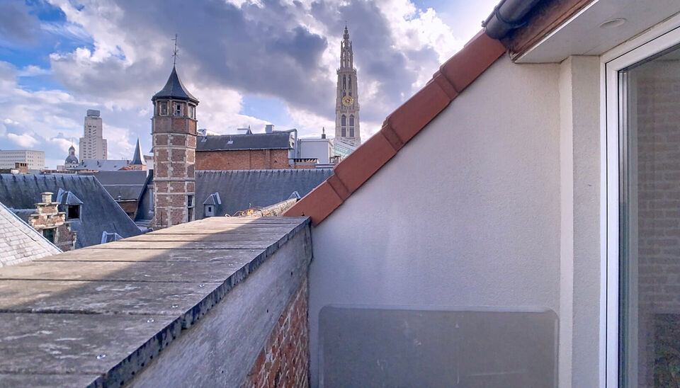 In een voormalige neoclassicistische burgerwoning, volledig gerenoveerd en omgevormd tot een kleinschalig appartementsgebouw met EPC-label B, vind je dit stijlvolle appartement van 60 m&sup2;. Instapklaar wonen in het hart van Antwerpen!

Het appartement bevi